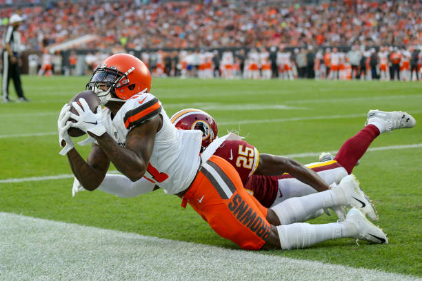 Gators in the NFL: Week&nbsp;9